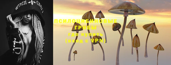 спиды Армянск